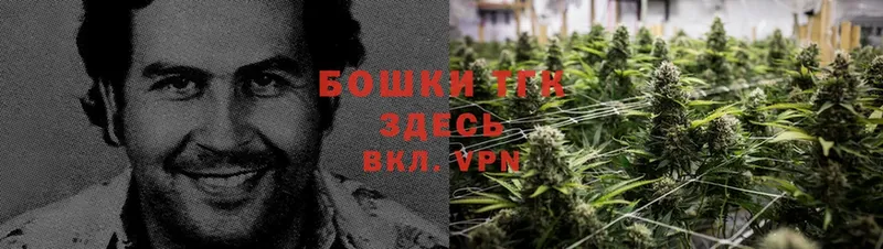 Конопля SATIVA & INDICA  Трубчевск 